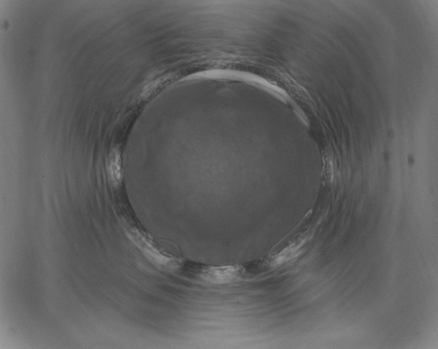 X0000067370479200604211547