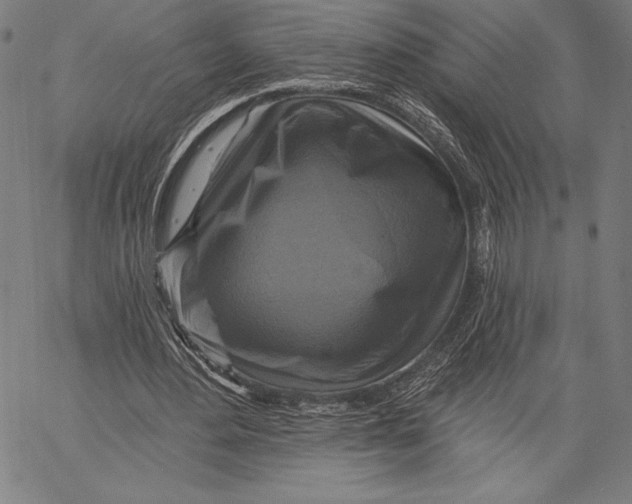 X0000067370484200604211546