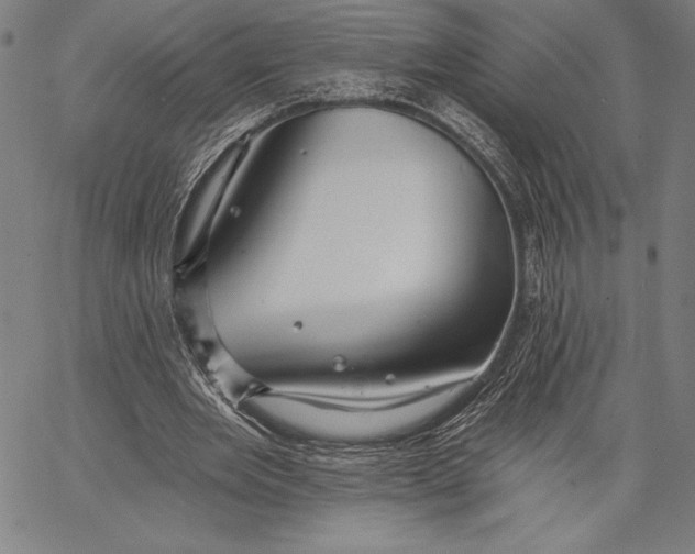 X0000067370485200604211546