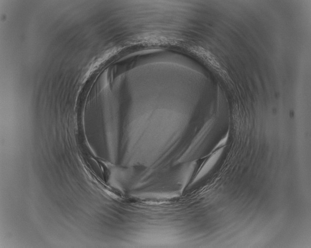 X0000067370488200604211546