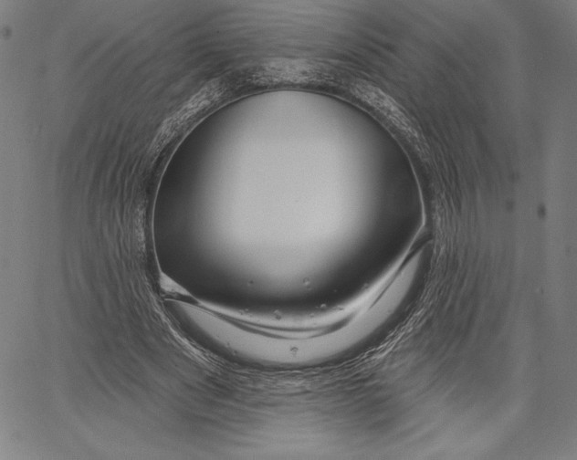 X0000067370489200604211546