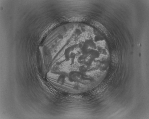 X0000067370491200604211546
