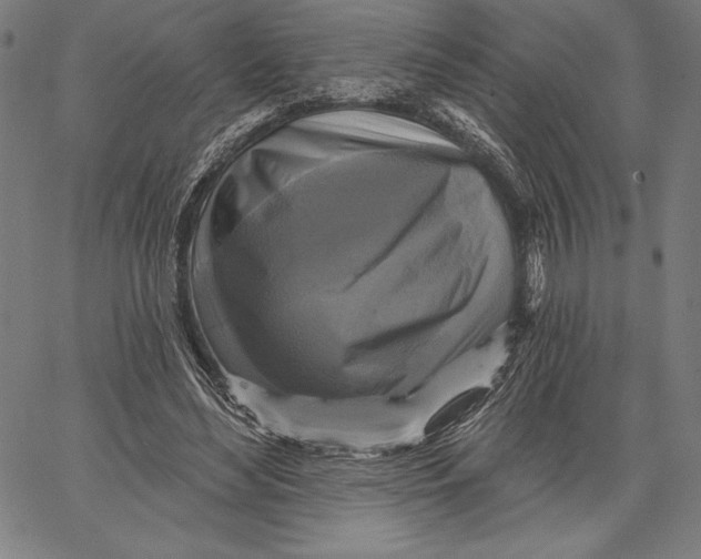 X0000067370492200604211546