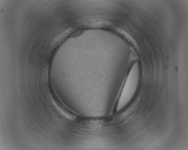 X0000067370493200604211546