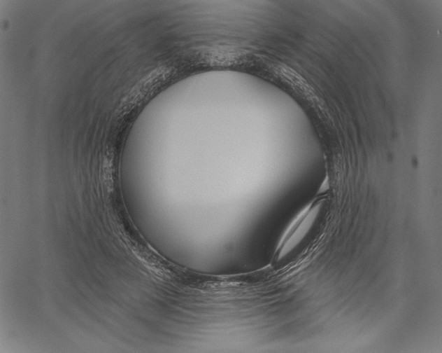 X0000067370497200604211546