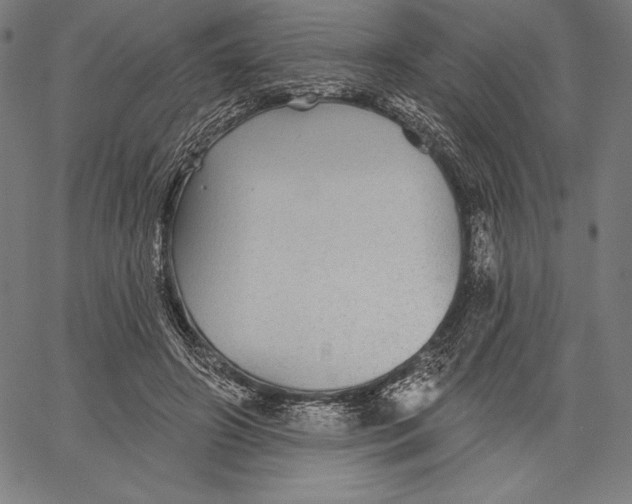 X0000067370498200604211546