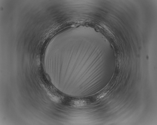 X0000067370500200604211546