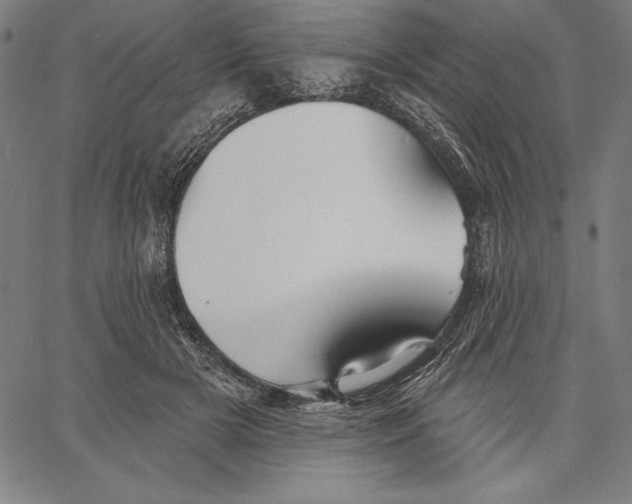 X0000067370505200604211546