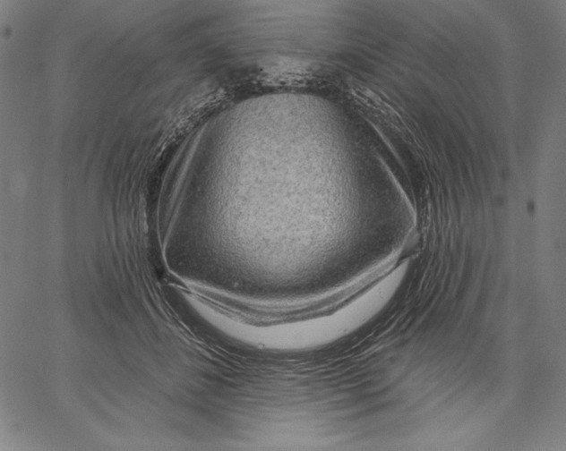 X0000067370508200604211546