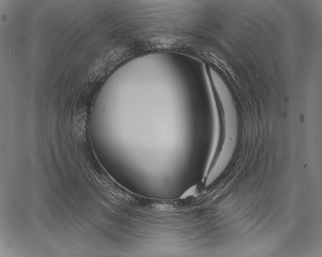 X0000067370509200604211546