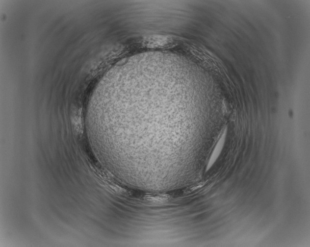 X0000067370510200604211546
