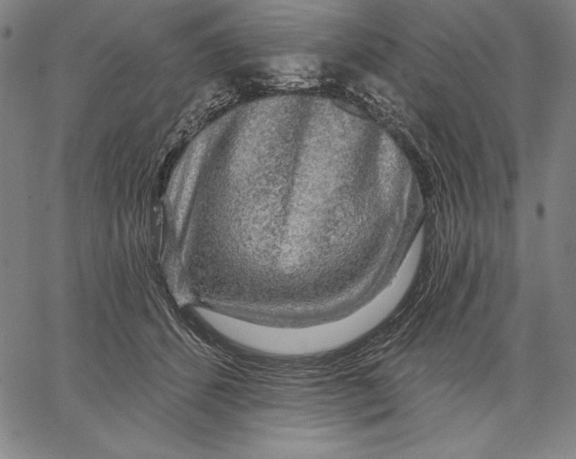 X0000067370512200604211546