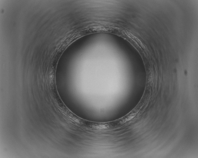 X0000067370513200604211546