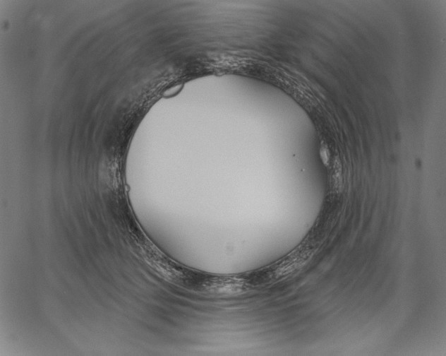X0000067370514200604211546