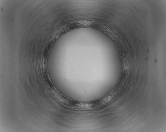 X0000067370518200604211545