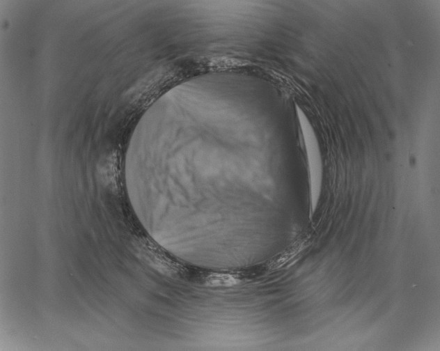 X0000067370519200604211545