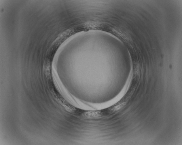 X0000067370526200604211545