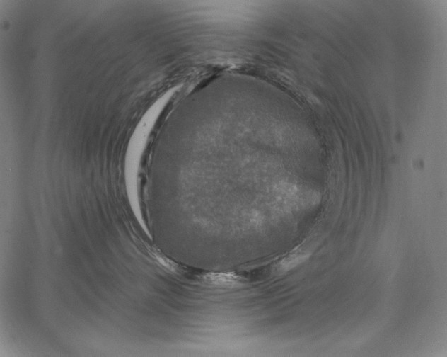 X0000067370528200604211545