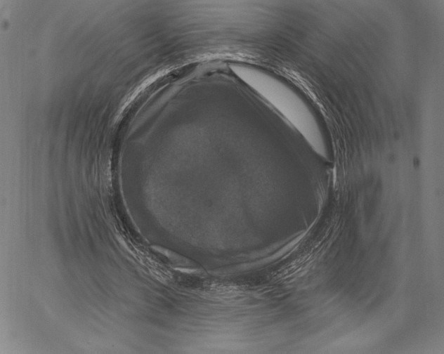 X0000067370531200604211544