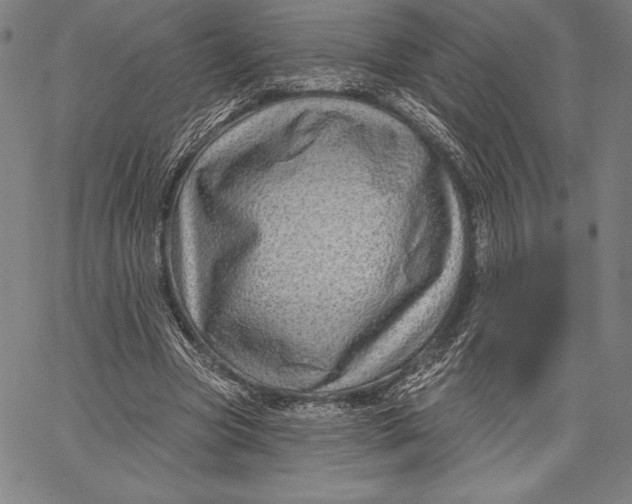 X0000067370537200604211544