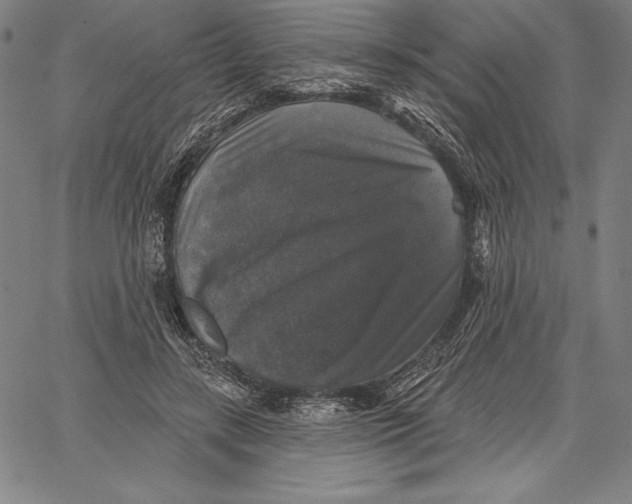 X0000067370547200604211545