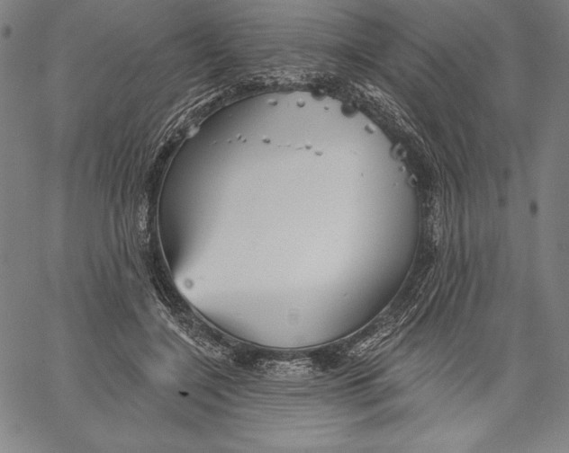 X0000067370548200604211545