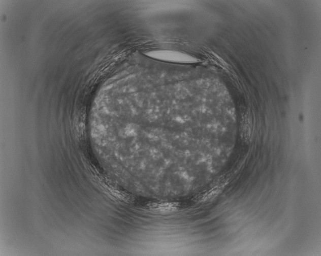 X0000067370553200604211545