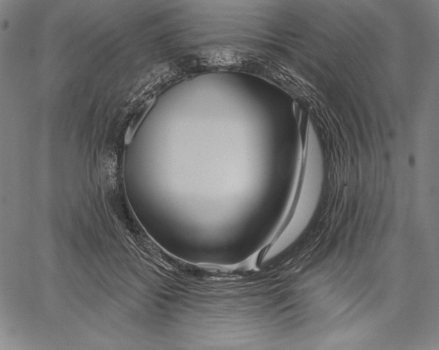 X0000067370556200604211545