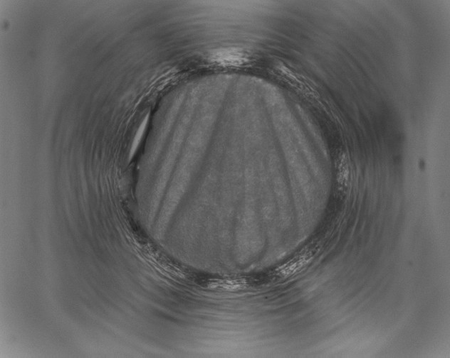 X0000067370559200604211545