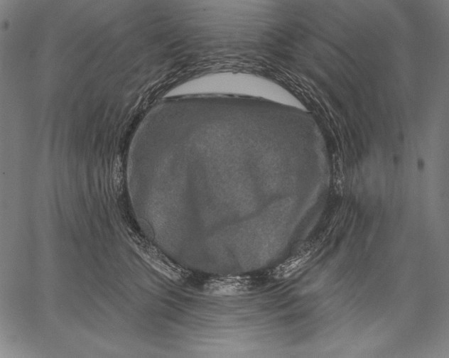 X0000067370563200604211545