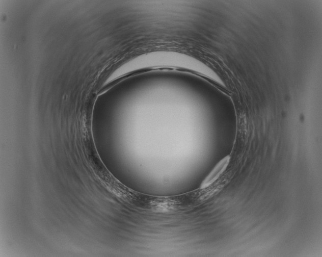 X0000067370564200604211545