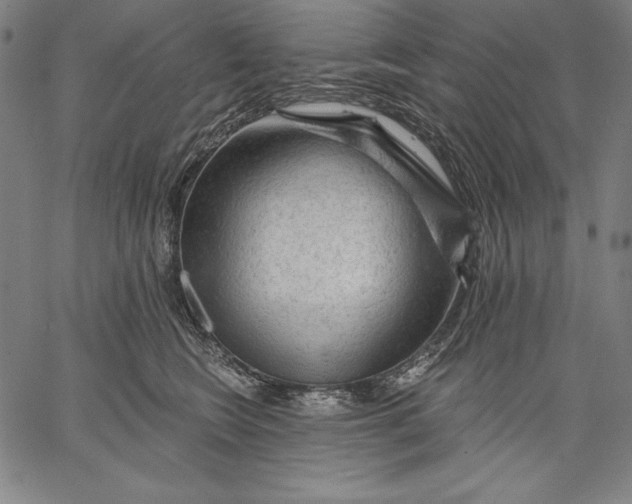 X0000067370566200604211545