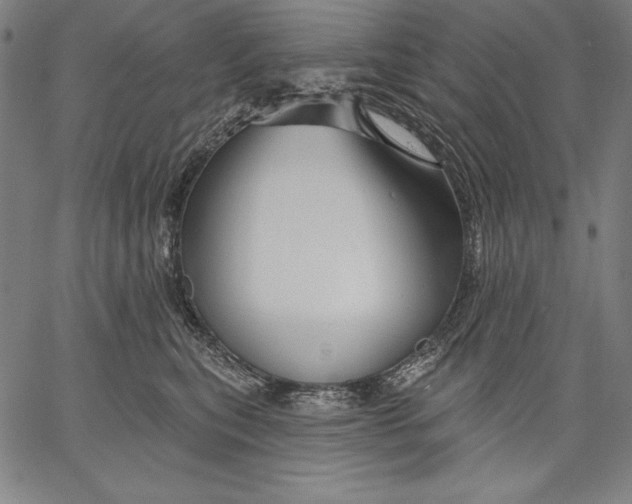 X0000067370567200604211545