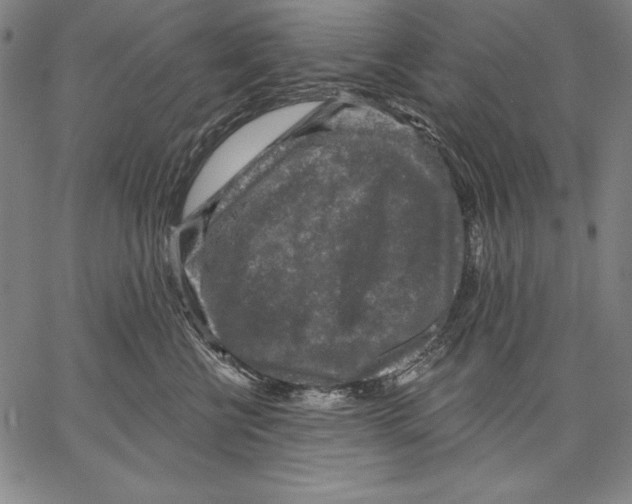X0000067370570200604211545