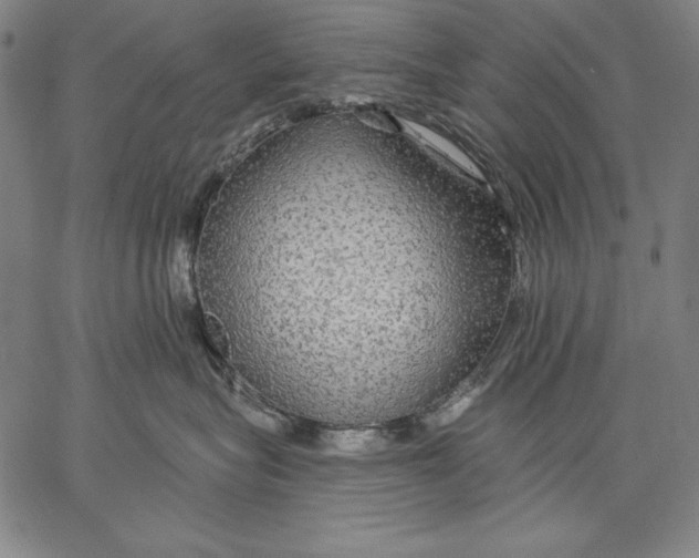 X0000067370575200604211545