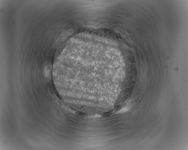 X0000067370576200604211545
