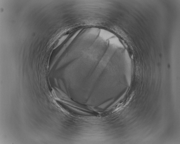 X0000067370577200604211544