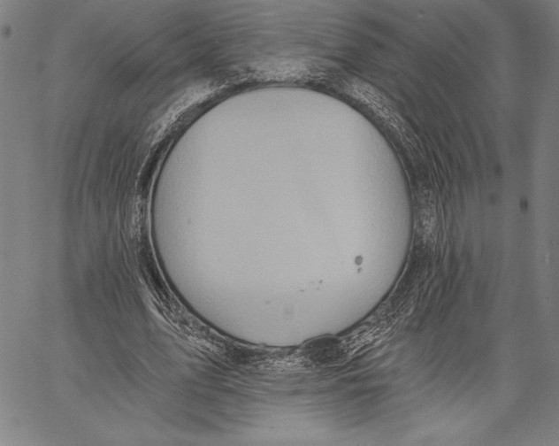 X0000067370583200604211544