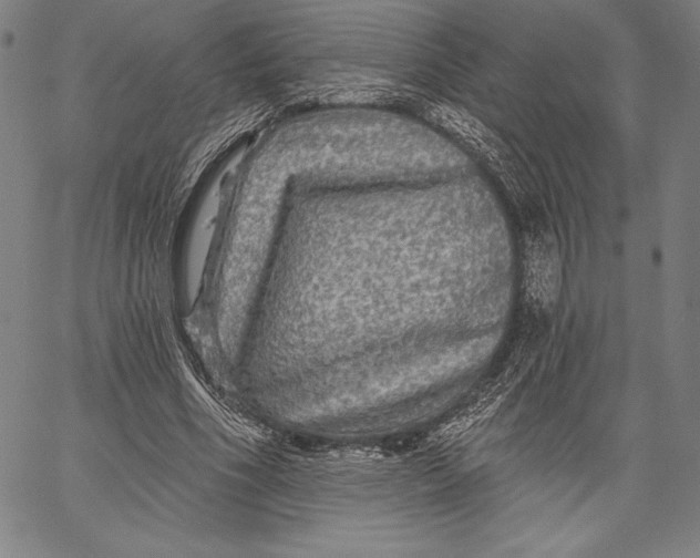 X0000067370586200604211544