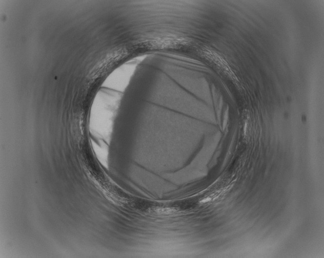 X0000067370590200604211544