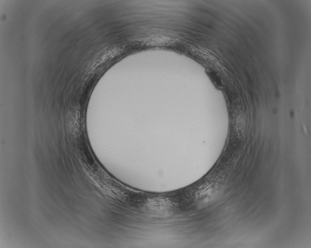 X0000067370591200604211544
