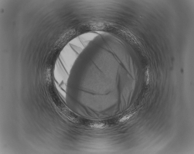 X0000067370598200604211544