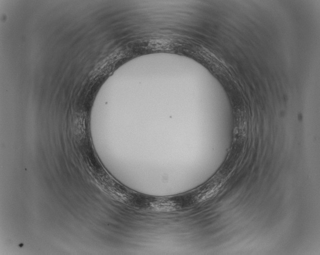 X0000067370603200604211544