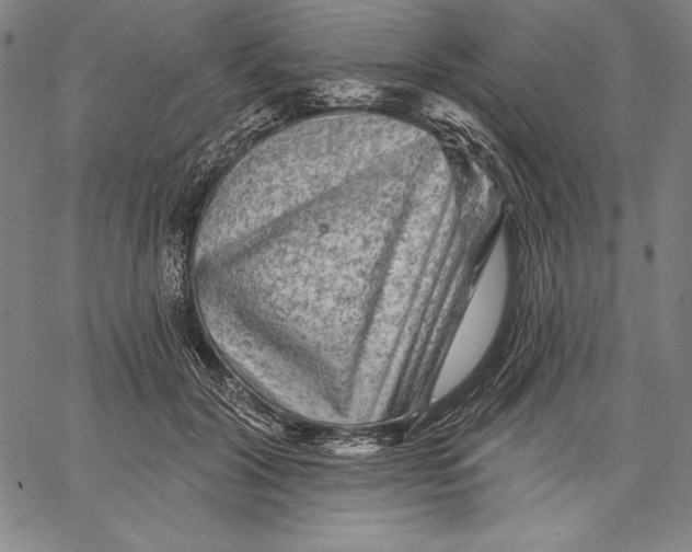 X0000067370604200604211544