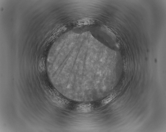 X0000067370606200604211544