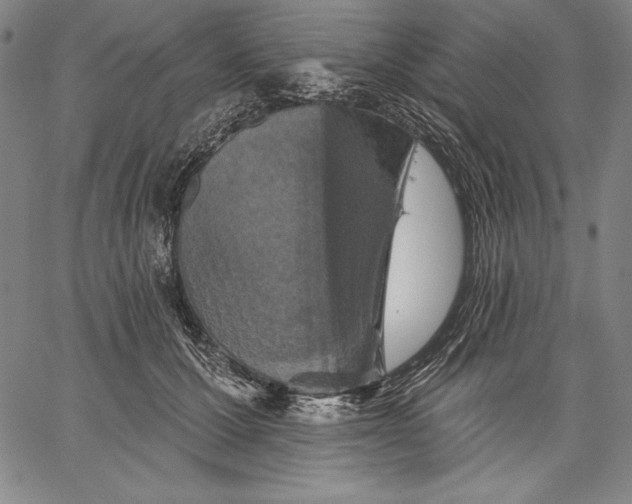 X0000067370607200604211544