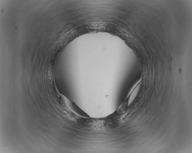 X0000067370609200604211544