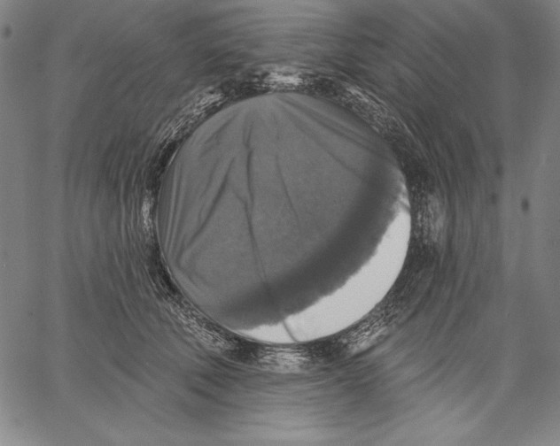 X0000067370610200604211544