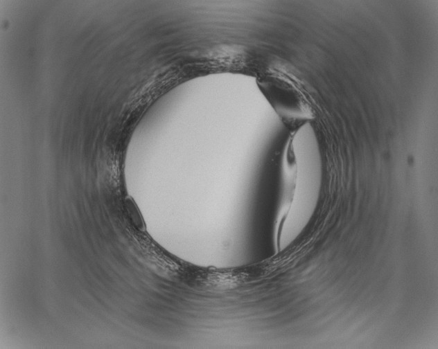 X0000067370613200604211544