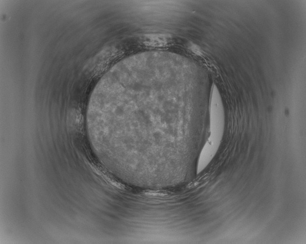 X0000067370614200604211544